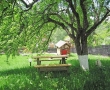 Gradina